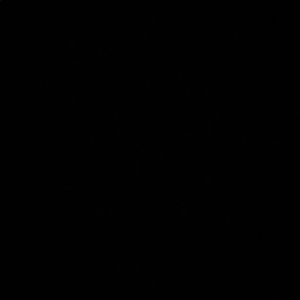 Meet your Posher, Tasha